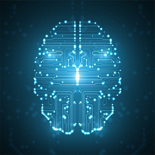 Darstellung eines Gehirns auf Leitplatte