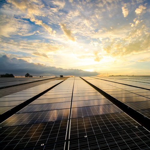 Eine lange Reihe von Photovoltaikmodulen im Sonnenaufgang