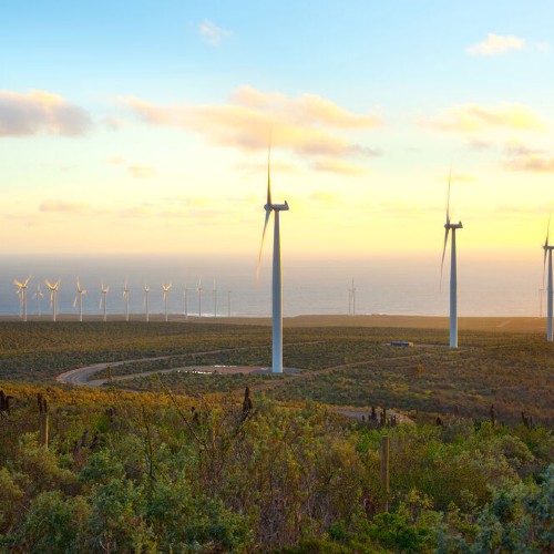Windräder auf einer Freifläche