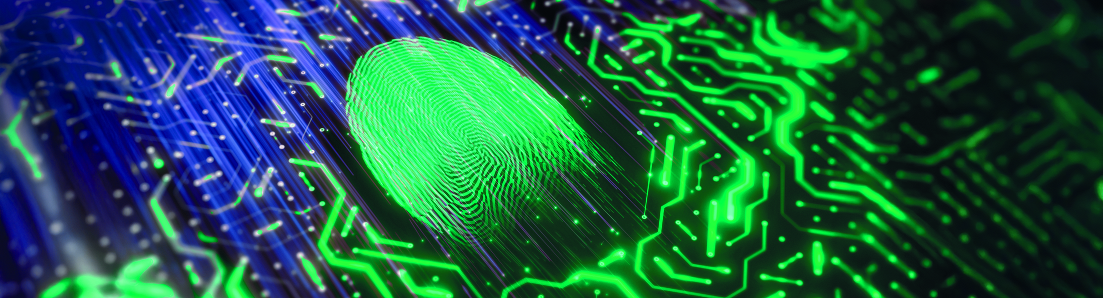 Fingerabdruck auf technischen Platinen 