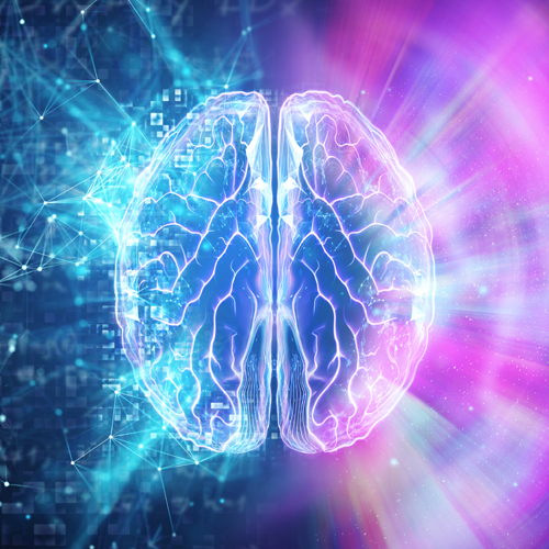 Das Bild zeigt ein Gehirn, beleuchtet in Blau- und Violetttönen, das seine Struktur und Form betont.