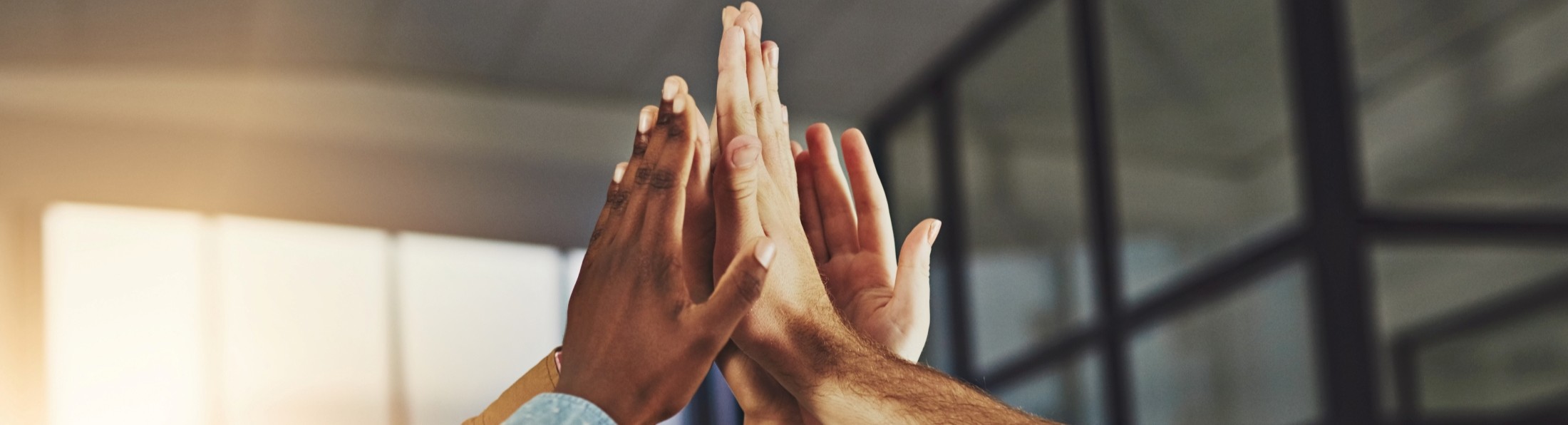 Mehrere Hände halten zusammen