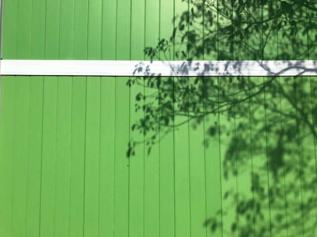 Grüne Holzwand mit einem Baum davor