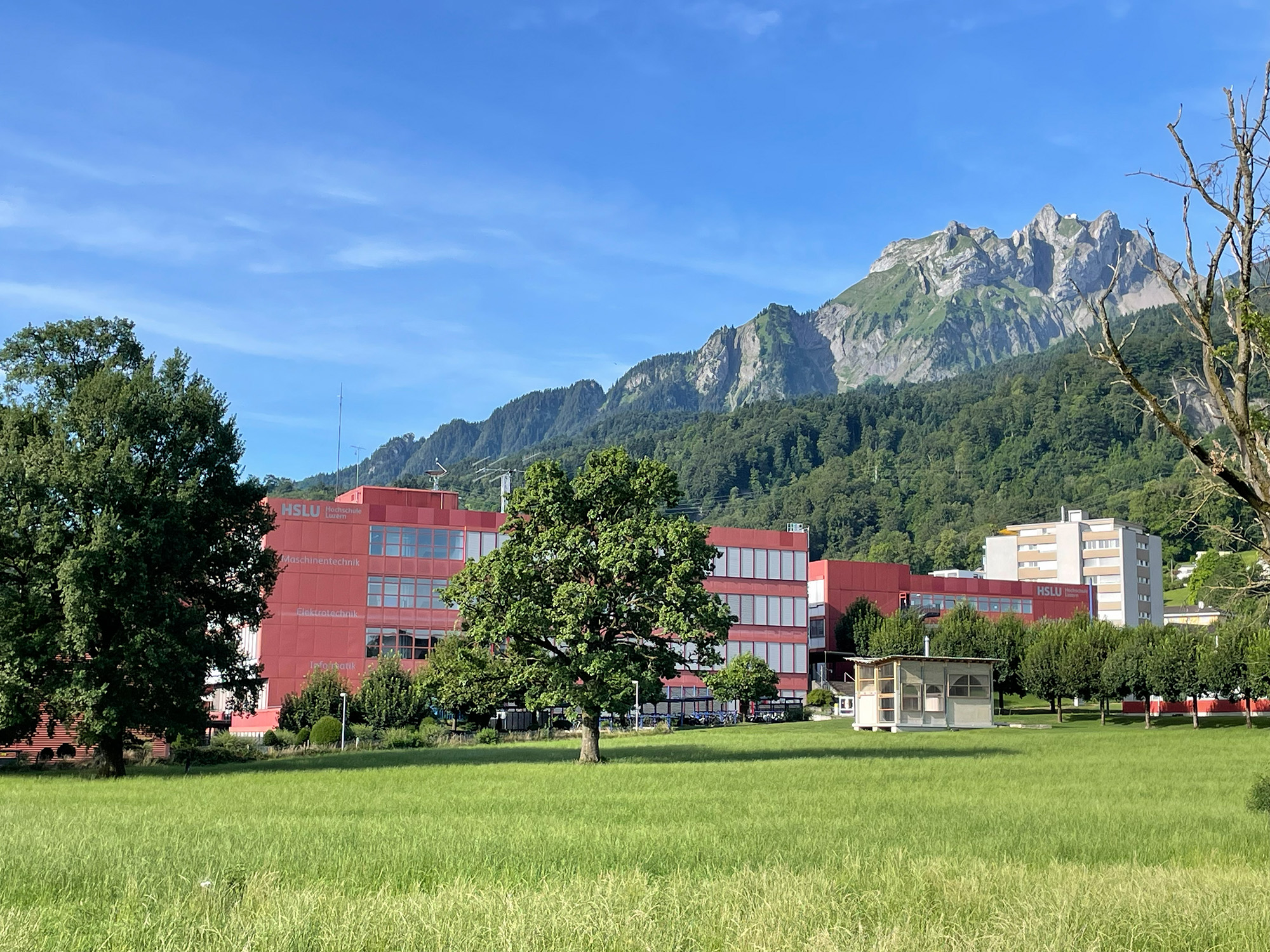 Das Bild zeigt ein rotes Gebäude der Hochschule Luzern vor einer bewaldeten Berglandschaft. Im Vordergrund liegen eine grüne Wiese und mehrere Bäume unter blauem Himmel.