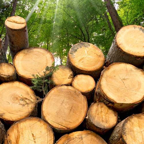 Preview News Kleben Holz