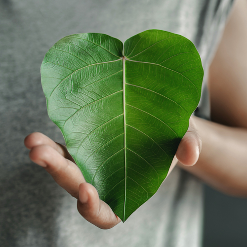 Eine Frau hält ein Blatt in Herzform in der Hand