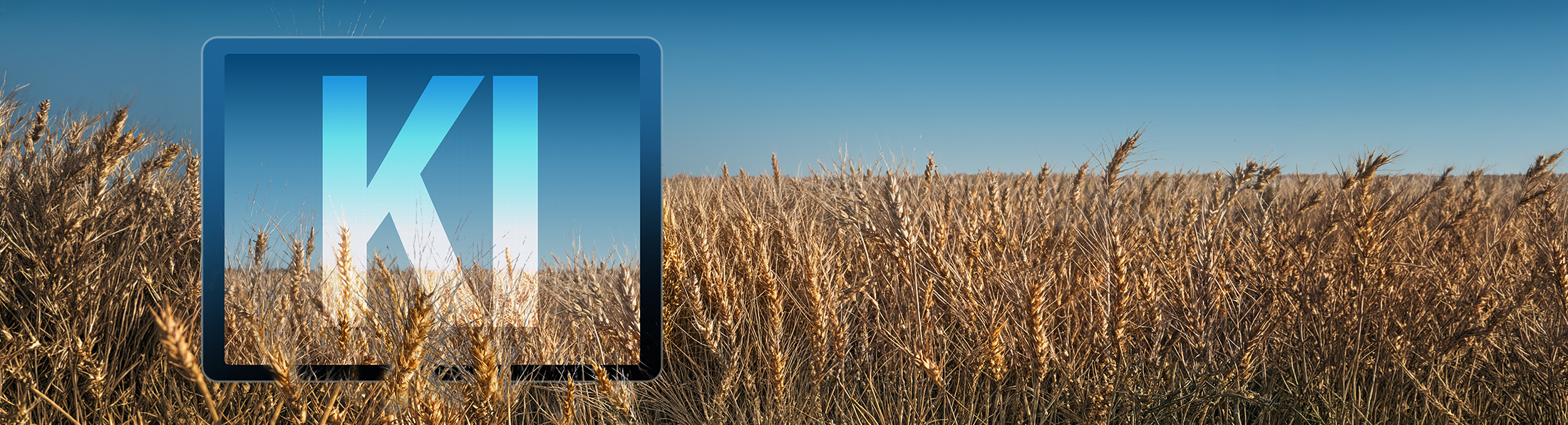 Tablet mit KI in einem Feld