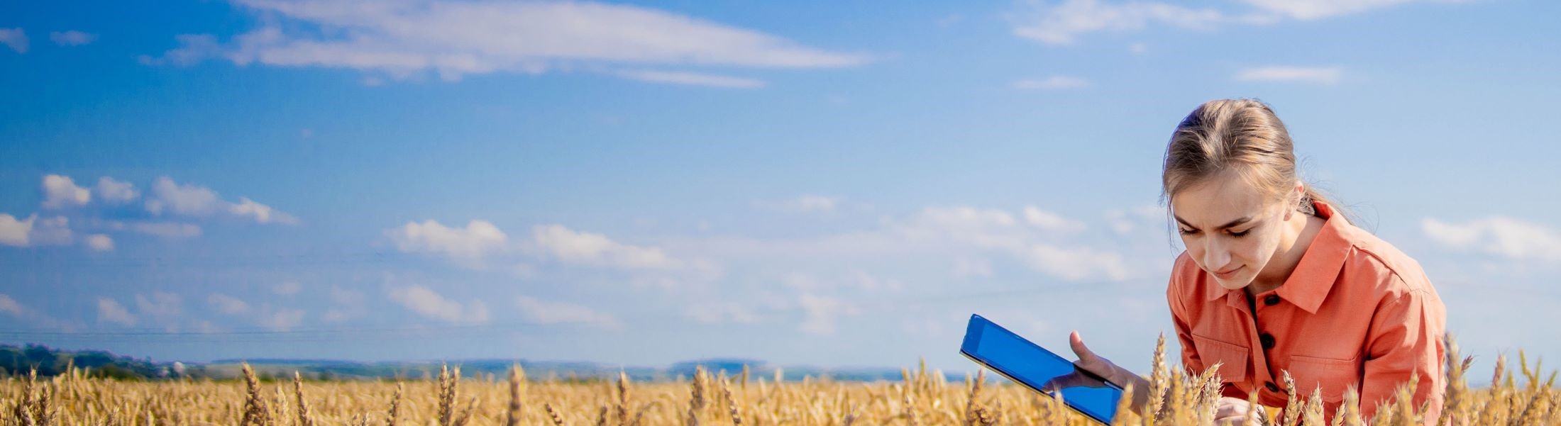 Frau sitzt in einem Feld mit einem Tablet in der Hand