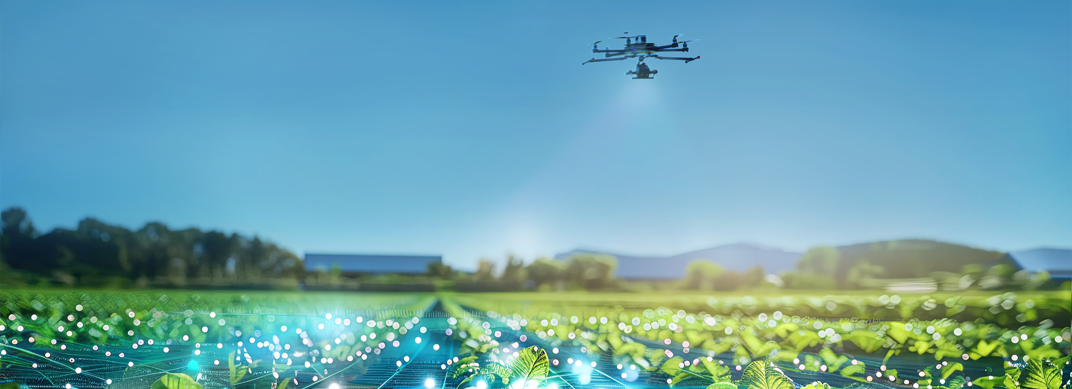 Drohne über einem Feld, digitalem Raster-Netzwerk und KI-gestützter Bilderkennung in der Landwirtschaft