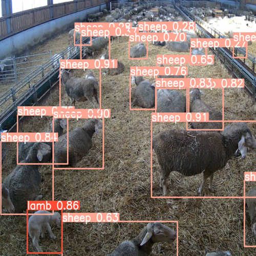 Bildschirmansicht einer Schafherde mit digitalem Infos zu jeden Tier