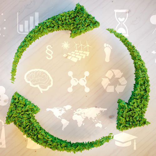 Konzept für Recycling und grüne Energie auf einer Holzoberfläche, symbolisiert durch natürliche Elemente.