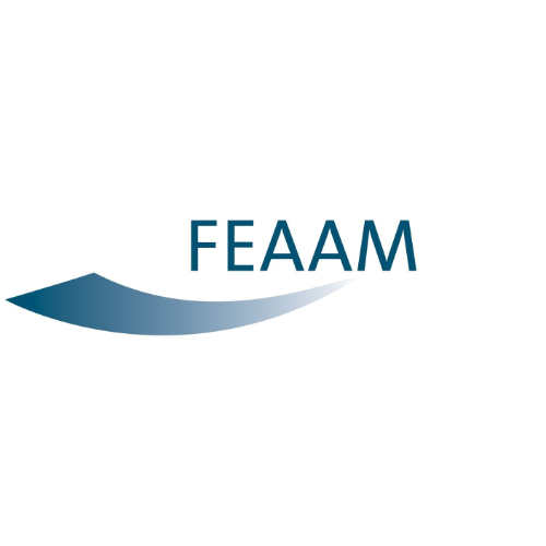 Das Logo der FEAAM GmbH