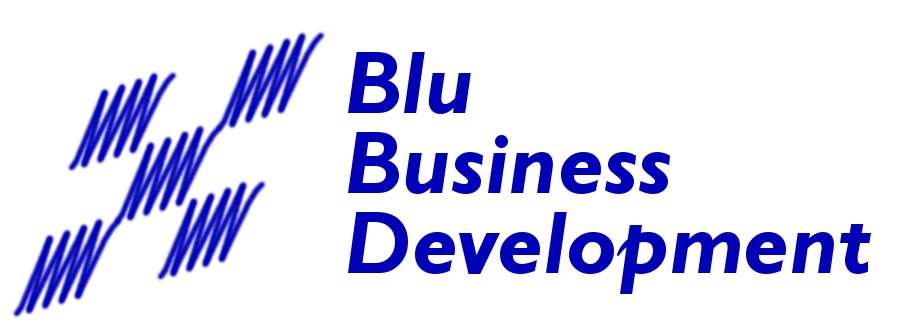 Logo der Firma Blu Business Development GmbH