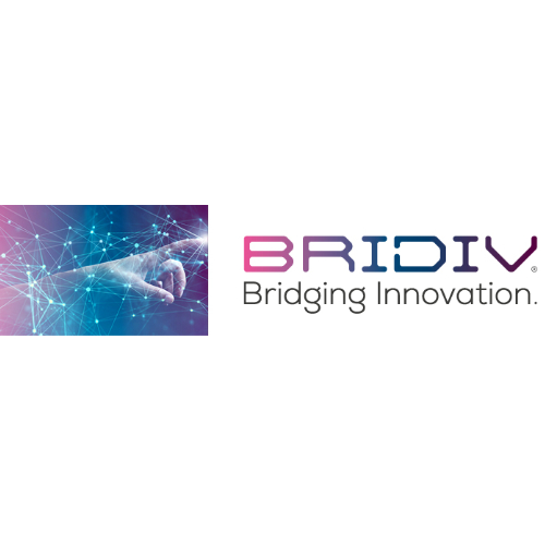Logo von BRIDIV GmbH 