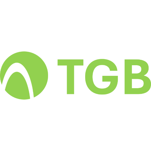 Das Logo der THE GREEN BRIDGE Ing. GmbH