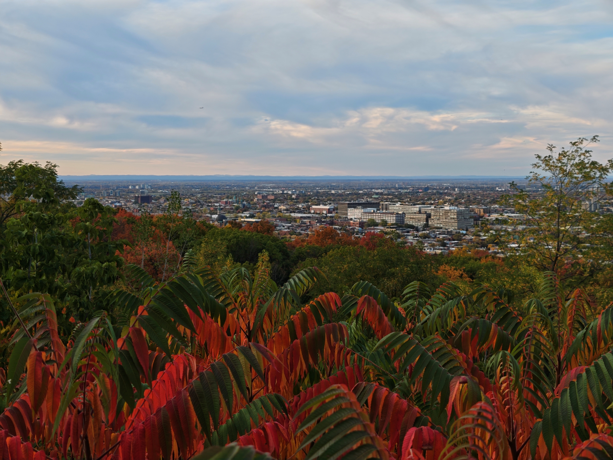Blick über eine herbstliche Landschaft mit roten und grünen Bäumen und weiter Sicht über eine Stadt. Das Bild entstand während der Delegationsreise in Kanada.