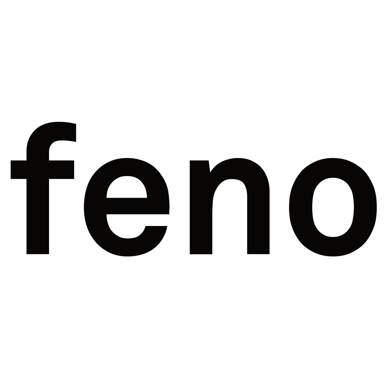 Logo feno GmbH