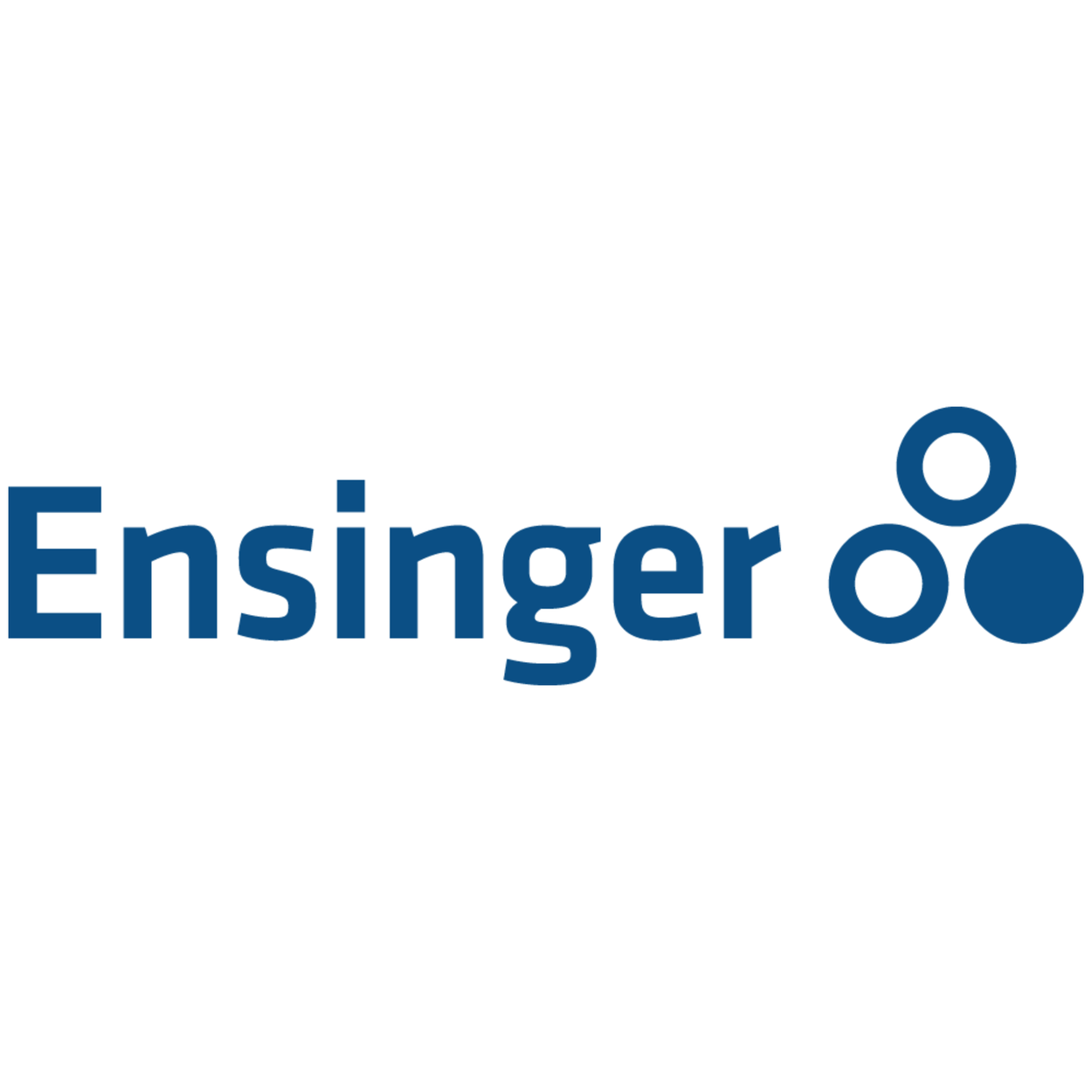 Logo Ensinger GmbH