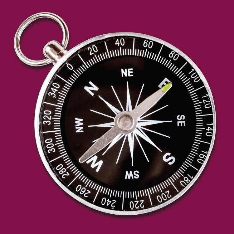 ein Kompass auf pinkem Hintergrund