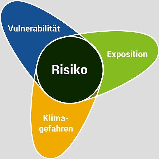 Klimarisiken Diagram