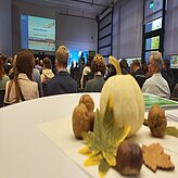 Vortragsraum mit Kürbisdeko im Vordergrund 