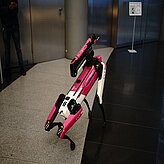 A small Robot on four legs with an arm on top