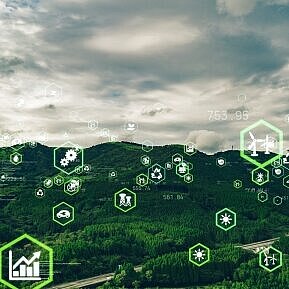 Meta-Networks mit grüner Natur im Hintergrund