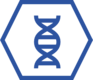 Icon DNA