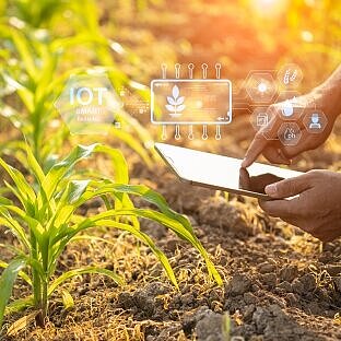 Person mit Tablet in der Hand auf einem Acker