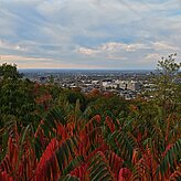 Blick über eine herbstliche Landschaft mit roten und grünen Bäumen und weiter Sicht über eine Stadt. Das Bild entstand während der Delegationsreise in Kanada.