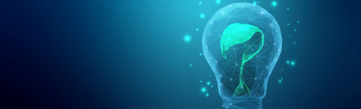 Eine Glühbirne mit einer Pflanze im Inneren, die Nachhaltigkeit und Umweltbewusstsein symbolisiert.