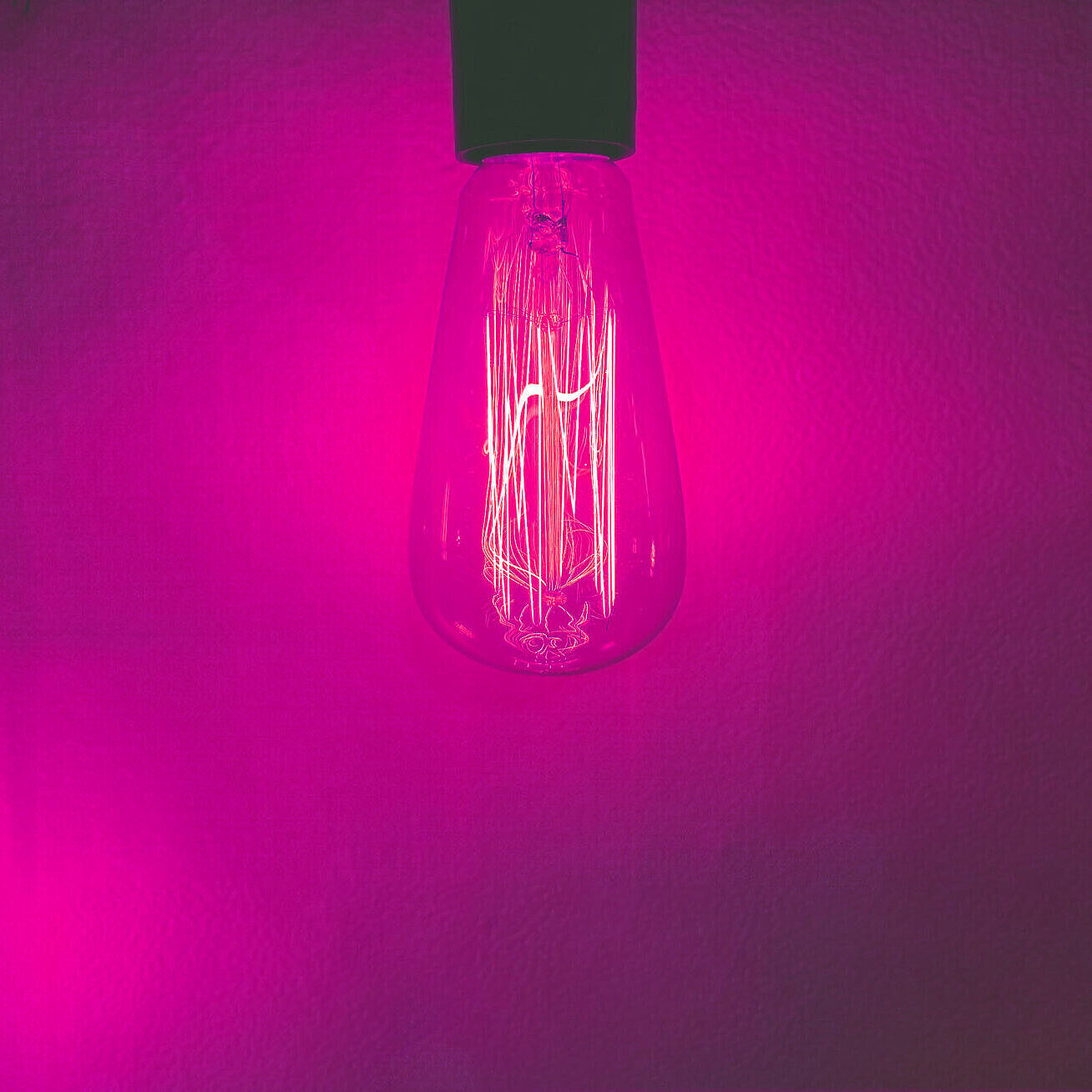 Glühlampe in pinken Neonlicht