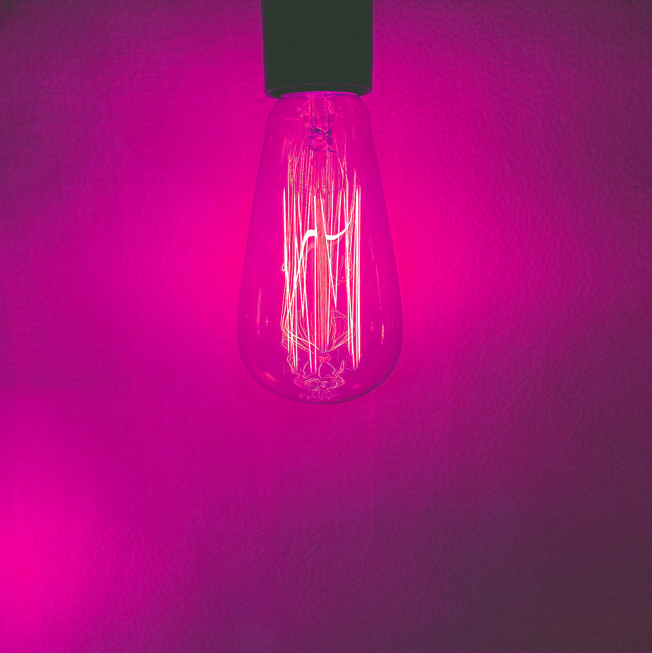 Glühlampe in pinken Neonlicht