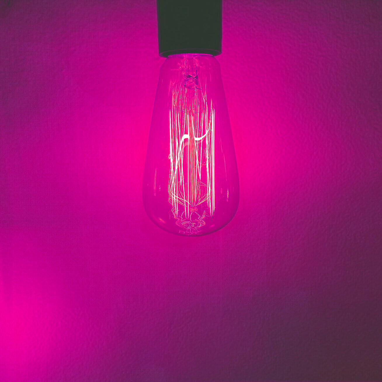 Glühlampe in pinken Neonlicht