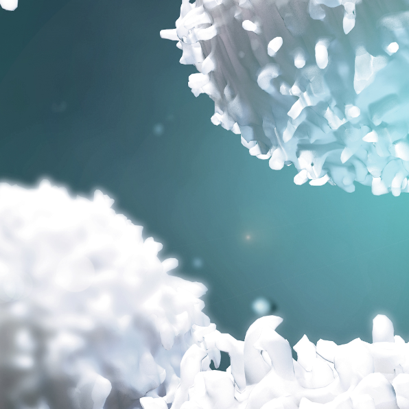 3d illustration lymphocytes