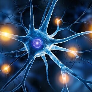 Darstellung einer Nervenzelle