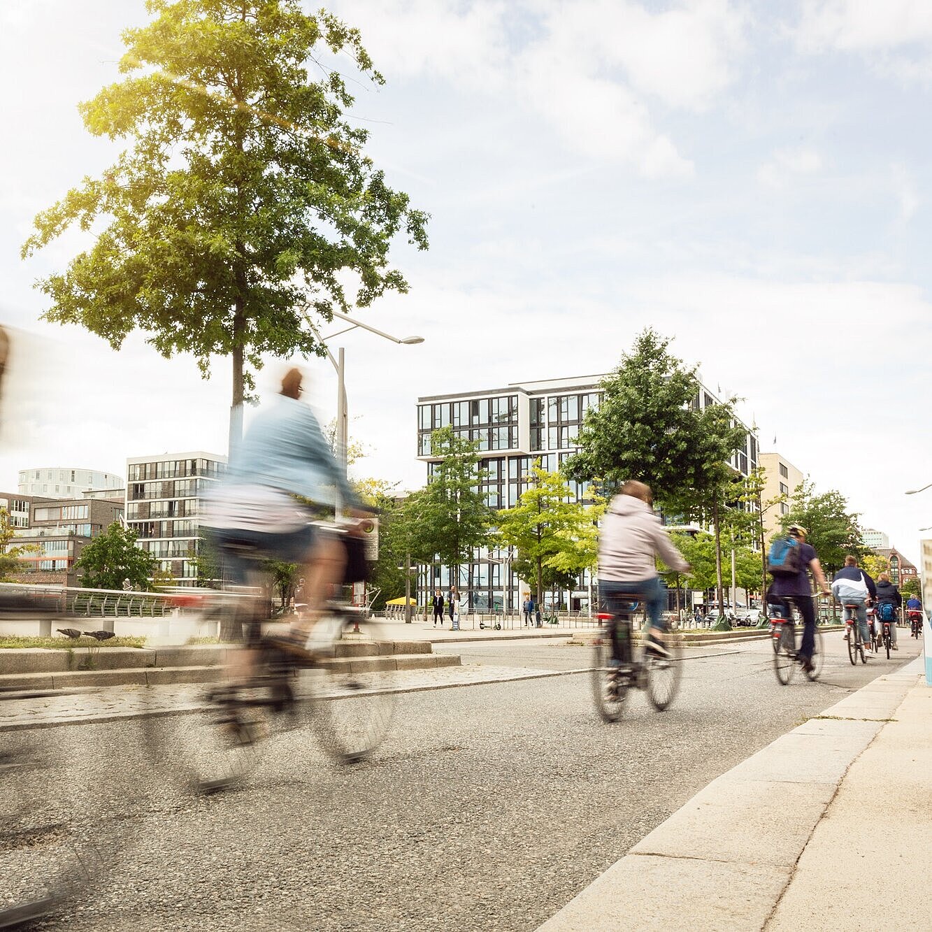Straße mit Bäumen am Rand, auf der viele Fahrräder fahren.