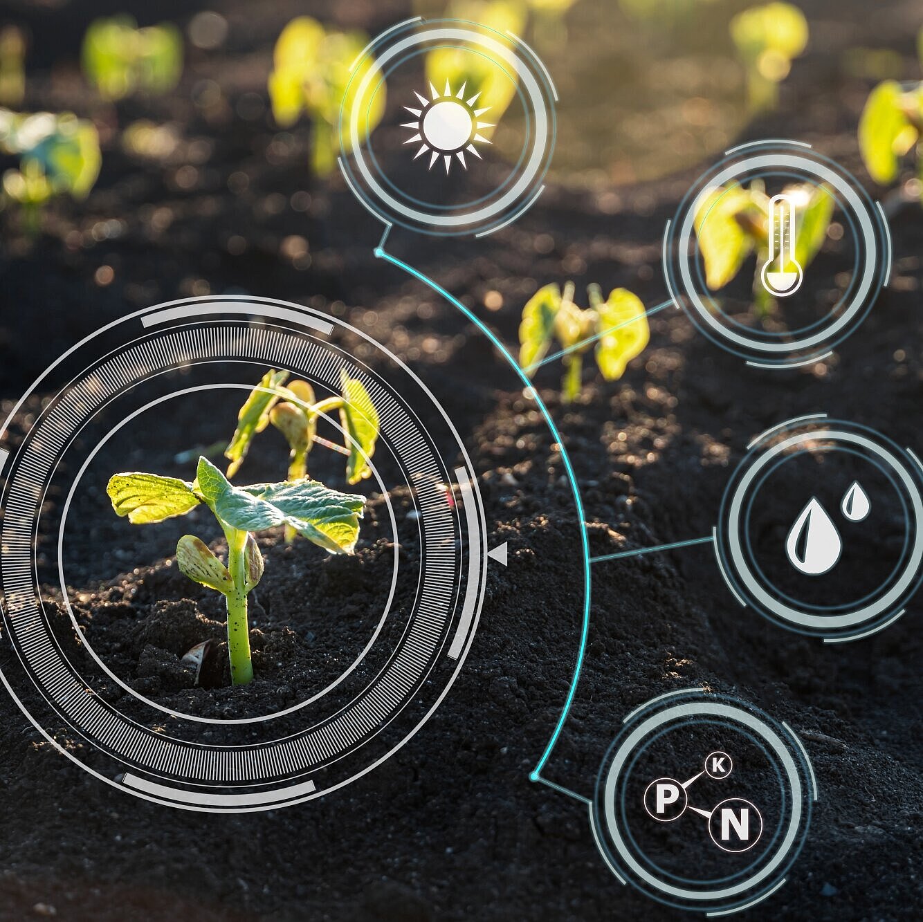 Pflanzenkeimlinge wachsen im Boden dank intelligenter Landwirtschaftstechnologie zur Erkennung und Steuerung. Innovative Technologie für die Landwirtschaft.