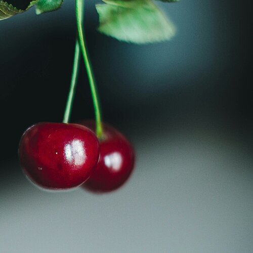 Zwei Kirschen