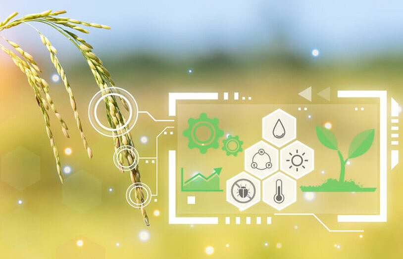 Dieses Bild zeigt Getreide mit Symbolen