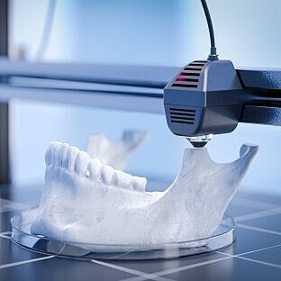 3D-gedrucktes Modell eines menschlichen Kiefers