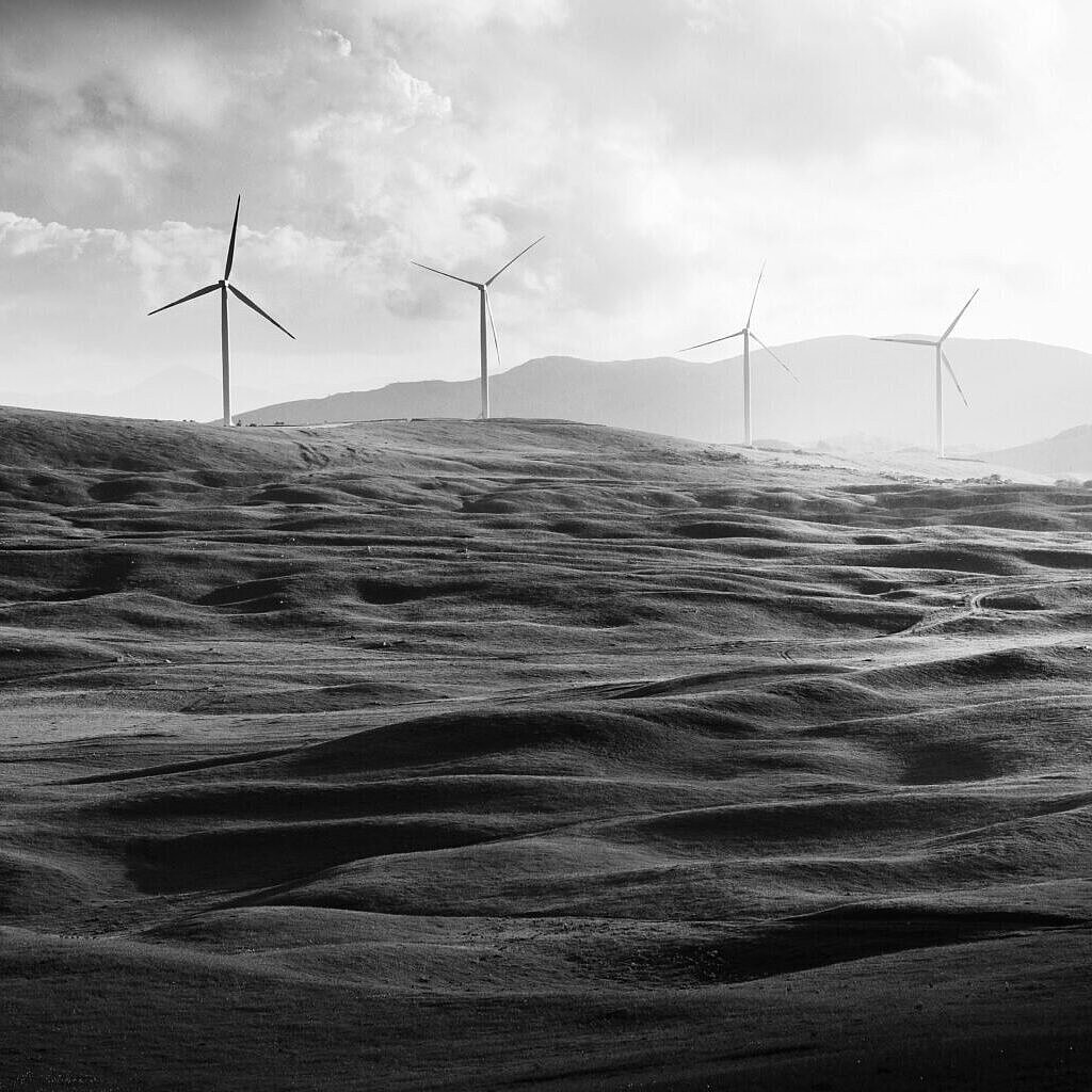 Schwarz weiße Landschaft mit Windkrafträdern