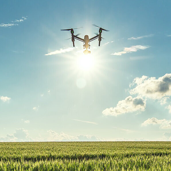 Eine Getreidefeld, über dem eine Drohne fliegt