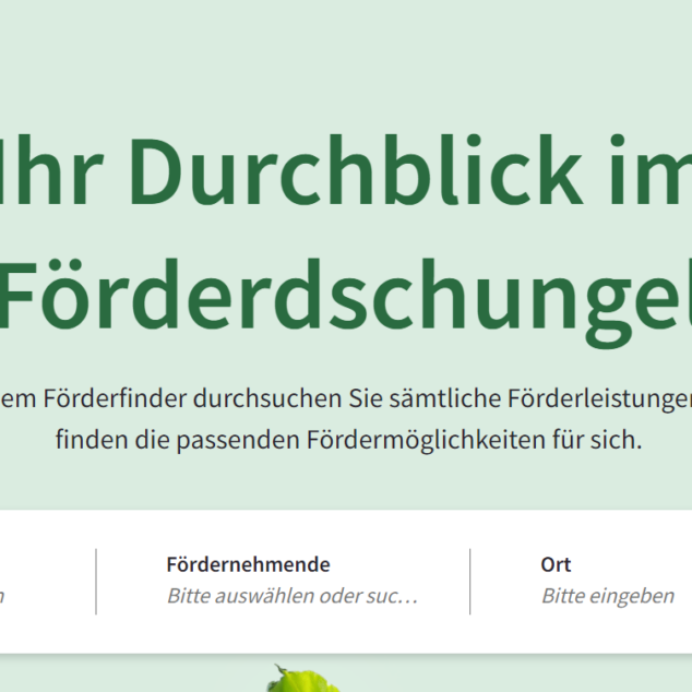 Banner vom Förderfinder