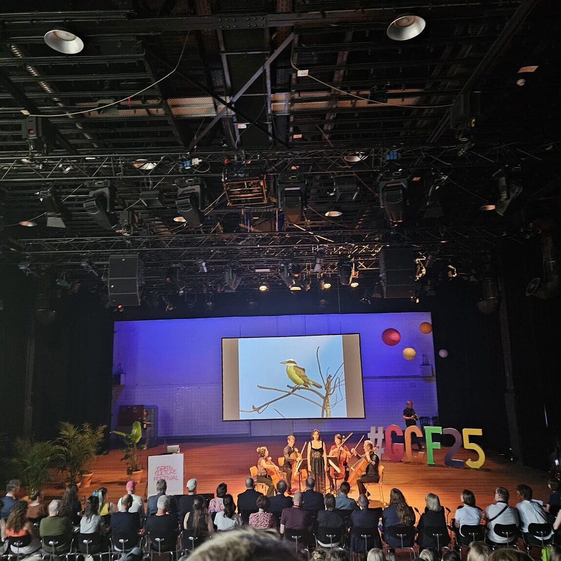 Foto von bink auf dem Green Culture Festival 2025 in Essen