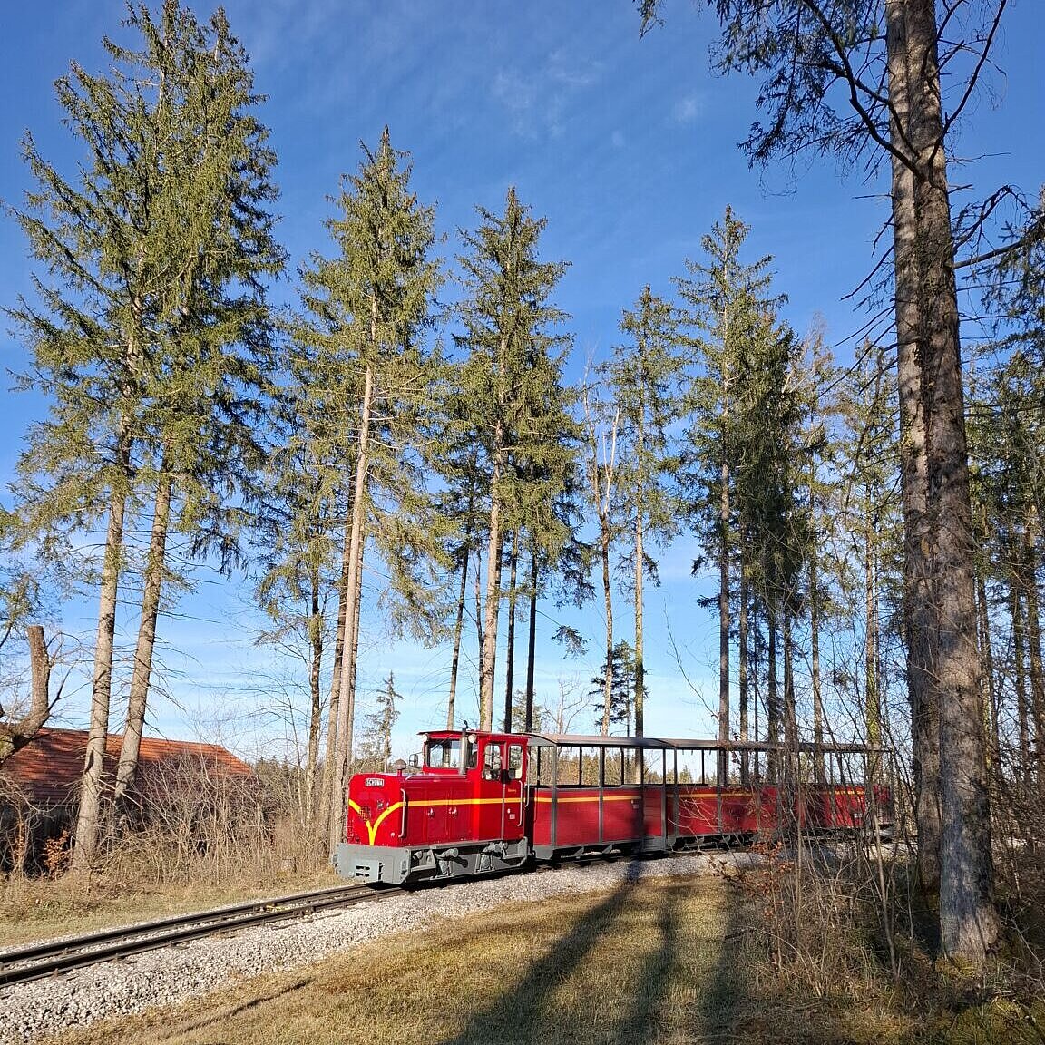 Roter Zug, der durch eine Allee fährt. 