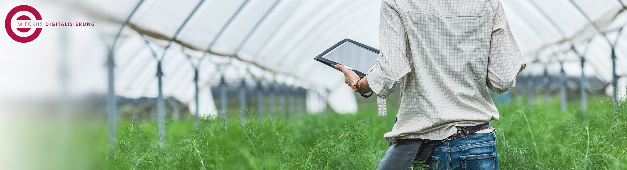 Transkription Digitalisierung Bauernhöfe