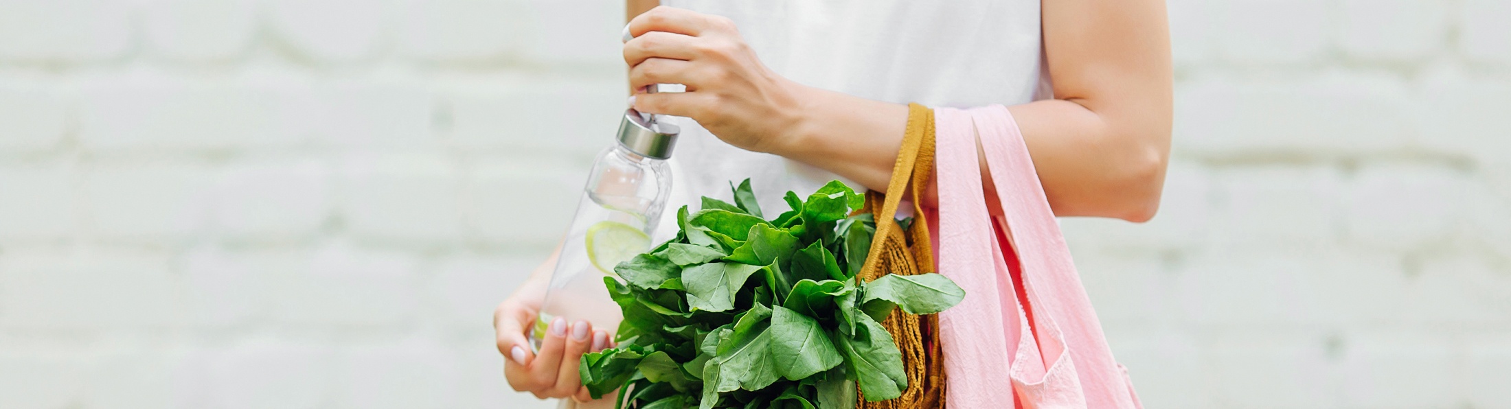 Politische Impulse zur Bioökonomie