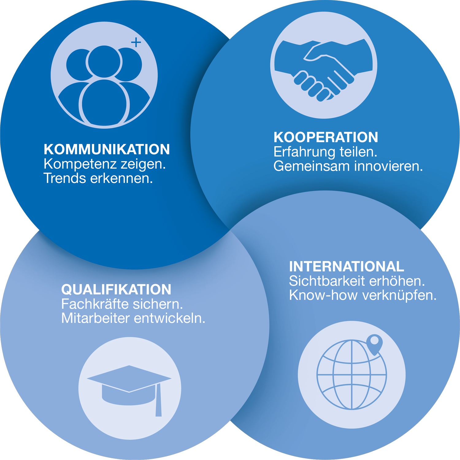 Mechatronics Cluster Focuses