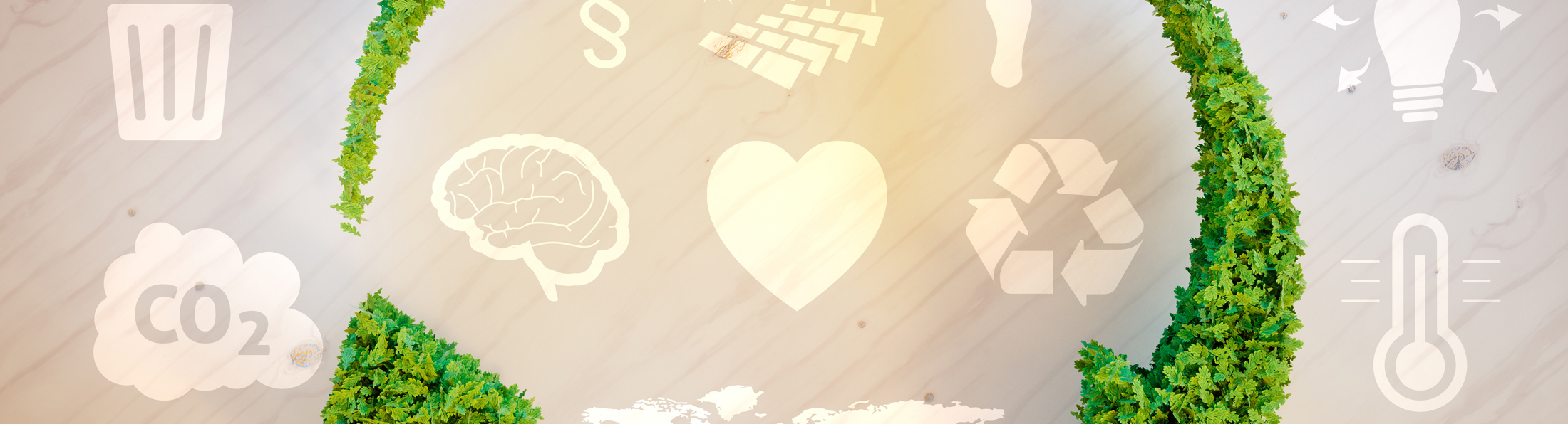 Titel Interview Zirkuläre Bioökonomie